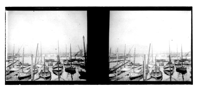 Barques ancorades en un port
