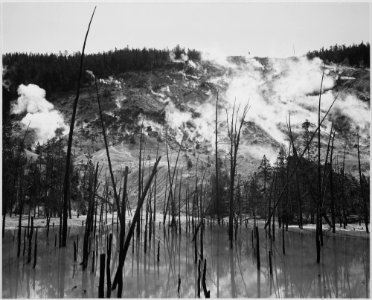 Barren tree trunks rising from water in foreground, stream rising from mountains in background, Roaring Mountain, Yello - NARA - 520000 photo