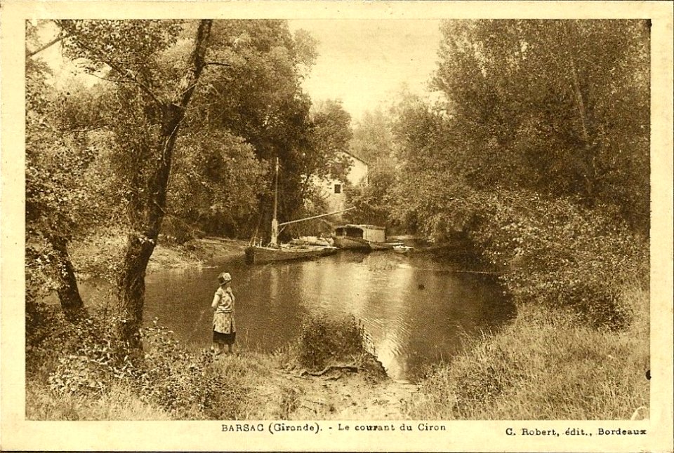 Barsac - bords du Ciron 2