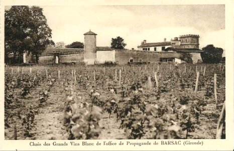 Barsac - Chais des Grands Vins Blancs