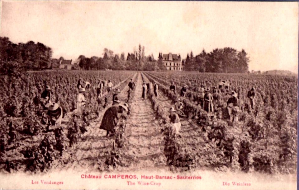 Barsac - château Camperos 6