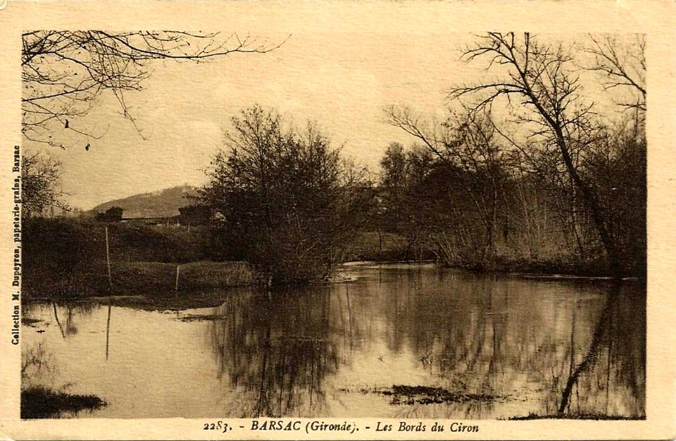 Barsac - bords du Ciron 1
