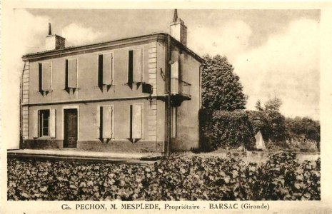 Barsac - château Pechon 1