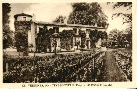 Barsac - château Védrines 1