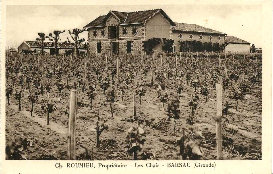 Barsac - château Roumieu 1
