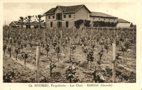 Barsac - château Roumieu 1