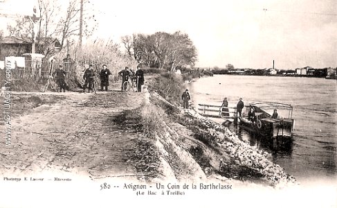 Barthelasse Bac à treilles