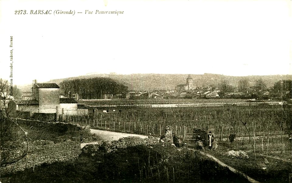 Barsac - vue générale 2