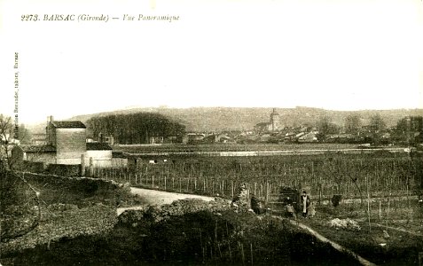 Barsac - vue générale 2