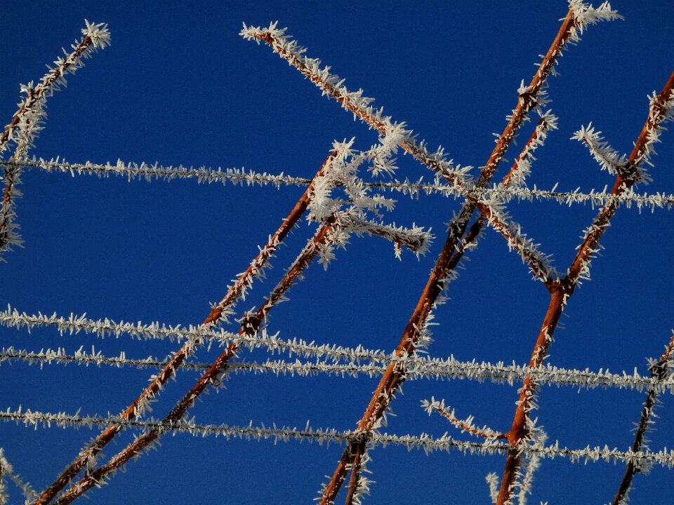 Cold eiskristalle iced