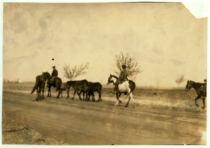 Bartrum Choate, a 12-year-old boy driving colts to town. Works for W.F. Barber, Route 3, Lawton, Okla. LOC nclc.00680
