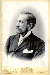 Bartók Lajos (Ellinger Ede, 1896) photo