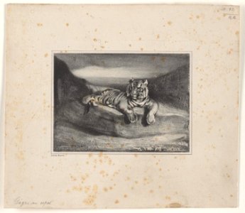 Barye - Tigre au Repos, 1948-76-8