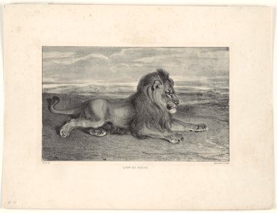 Barye - Lion de Perse, 1948-76-6
