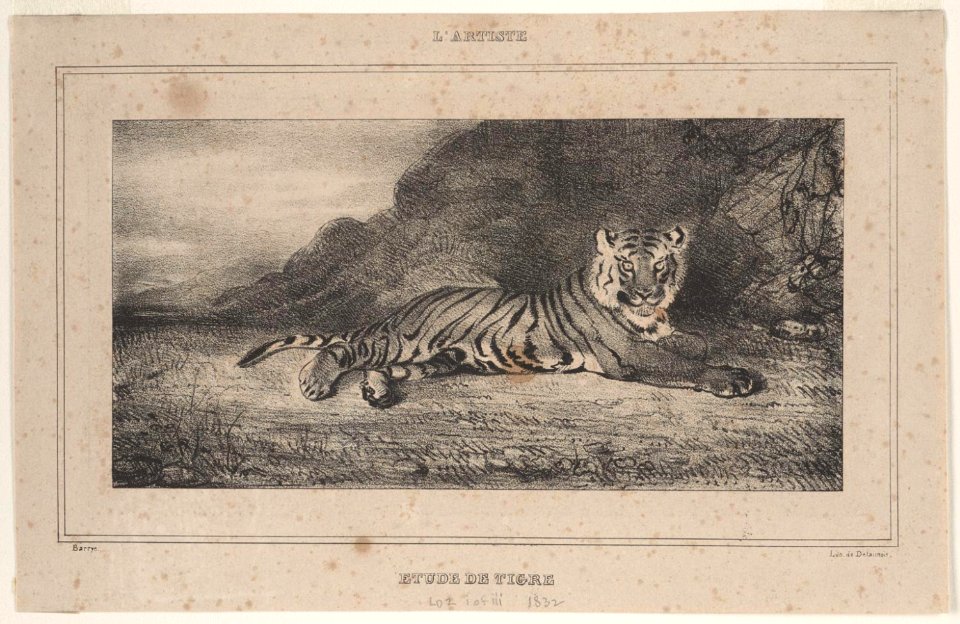 Barye - Étude de Tigre, 1974-106-222