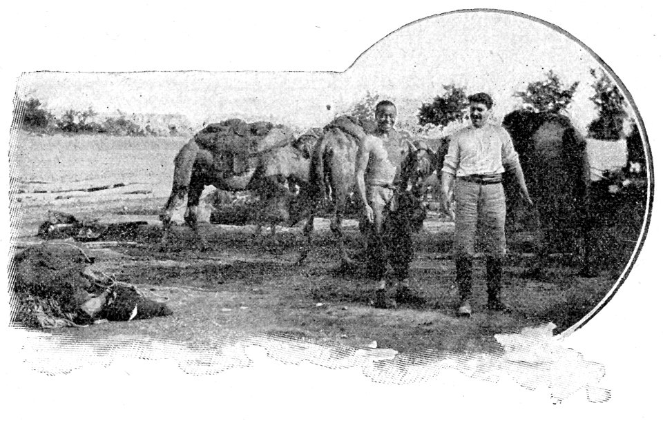 Barzini - La metà del mondo vista da un'automobile, Milano, Hoepli, 1908 (page 121 crop)