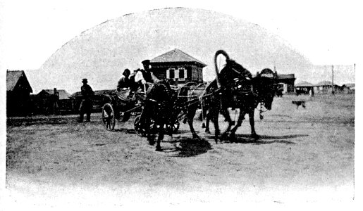 Barzini - La metà del mondo vista da un'automobile, Milano, Hoepli, 1908 (page 447 crop)