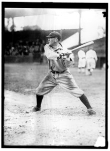 BASEBALL, PROFESSIONAL. DETROIT PLAYERS LCCN2016864708