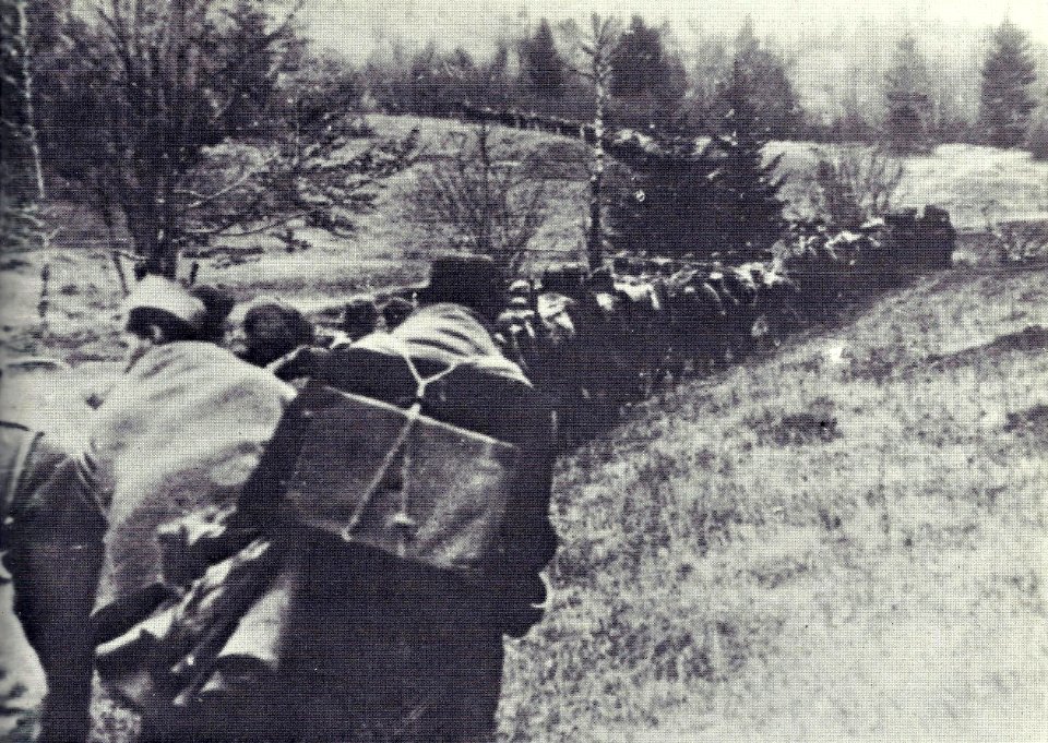 14. divizija na pohodu proti Petelinjeku konec oktobra 1943