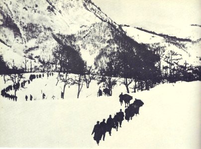 14. divizija nekje na Štajerskem