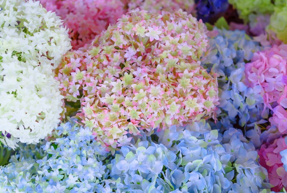 Fake flowers the pink flowers plastic
