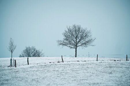 Cold nature wintry photo