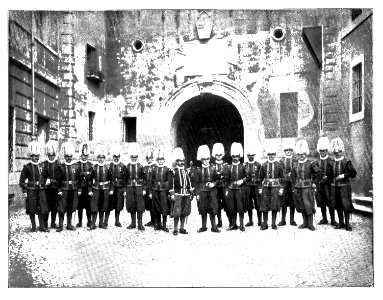 142c Swiss guard team
