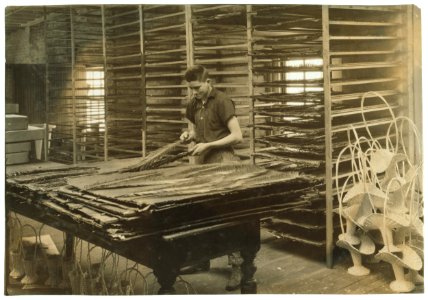 15-year old boy sorting cycas leaves, Boston Floral Supply Co., 347-357 Cambridge Street. Said to be the only flower factory in Massachusetts. LOC nclc.05195