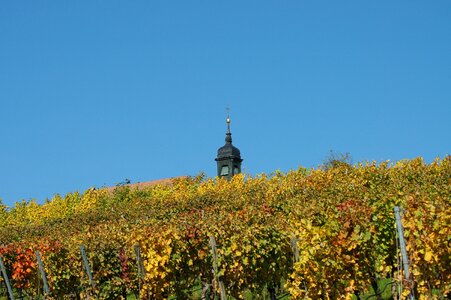Wine region autumn swiss francs