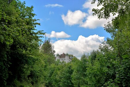 City forest tower photo