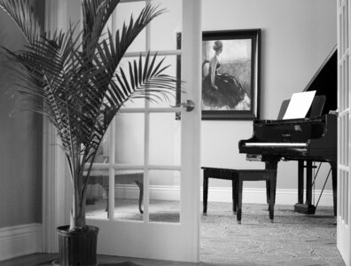 Shiny interior classical