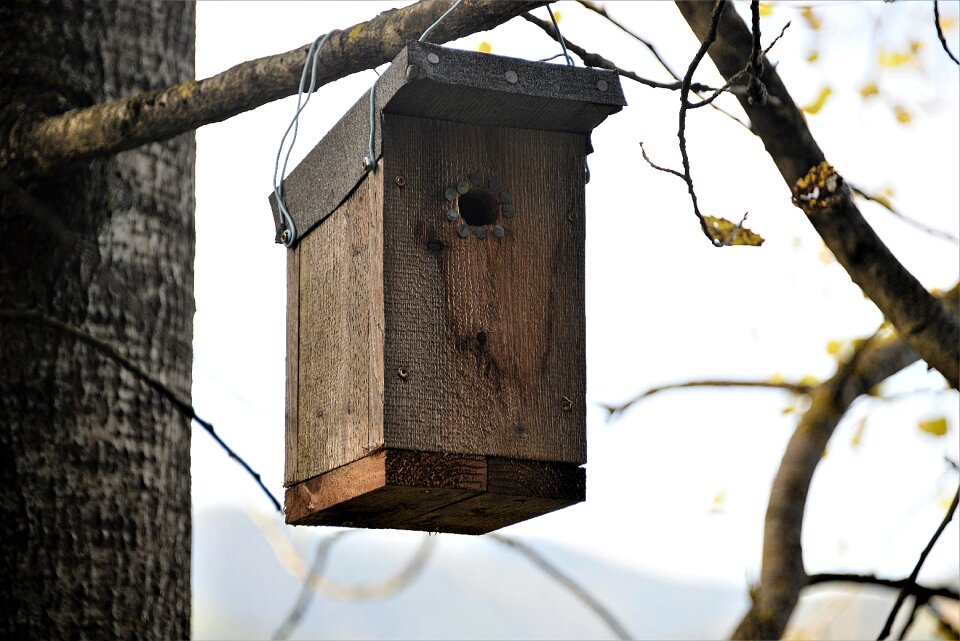Nature conservation hatchery shelter
