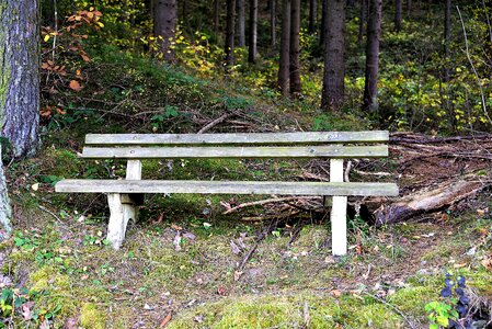 Resting place autumn wooden bench photo