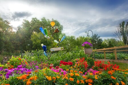 Landscape colorful bloom