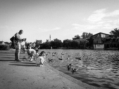 Birds feeding father