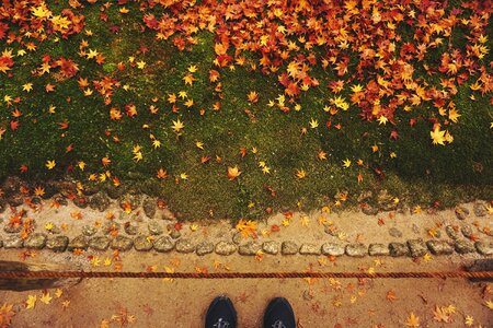 Fall autumn rope photo