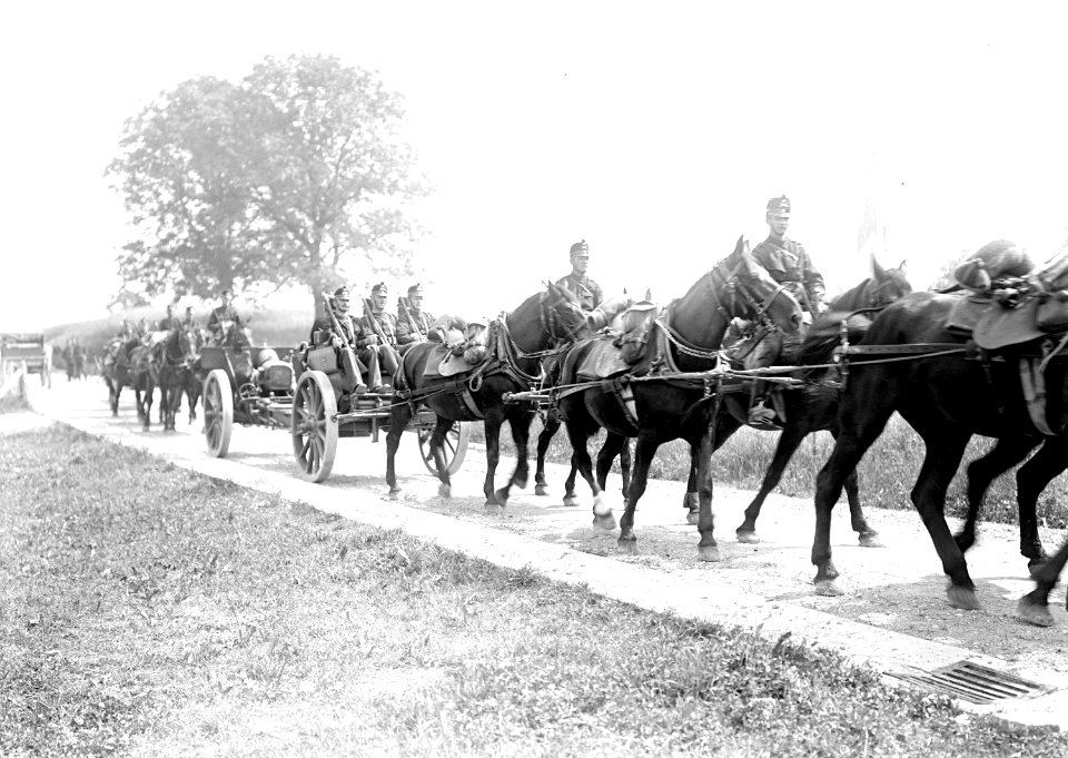 15cm Haubitzen auf dem Marsch - CH-BAR - 3239645