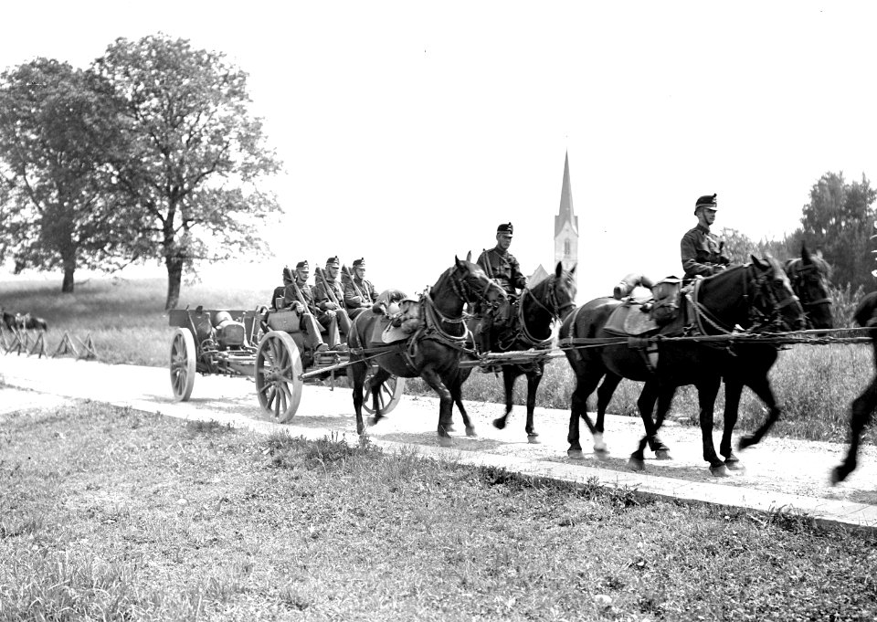 15cm Haubitzen auf dem Marsch - CH-BAR - 3239644
