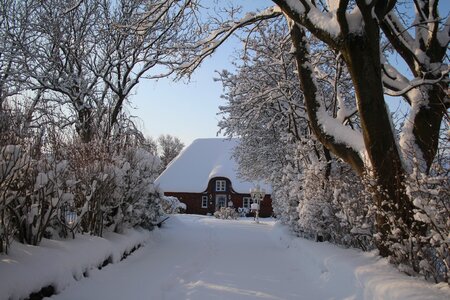 Frost landscape nordfriesland photo