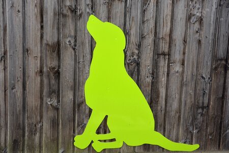 Dog painted wood wood carving garden photo