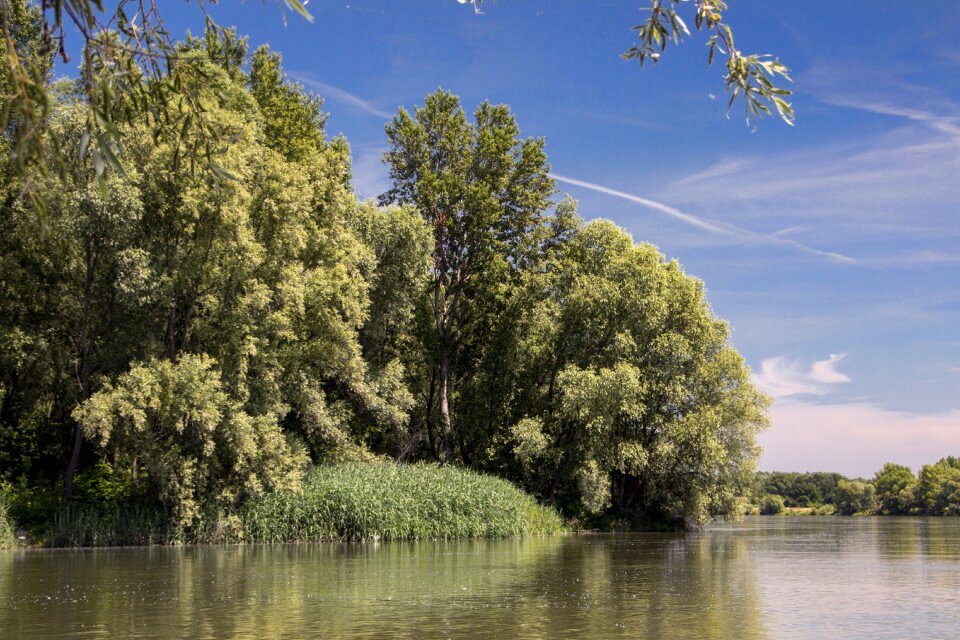 River bratislava trees