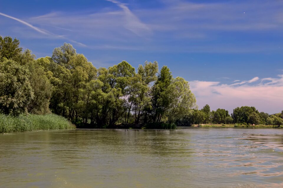 River bratislava trees
