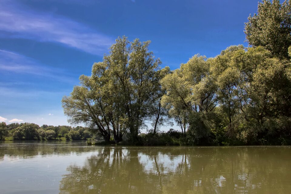 River bratislava trees