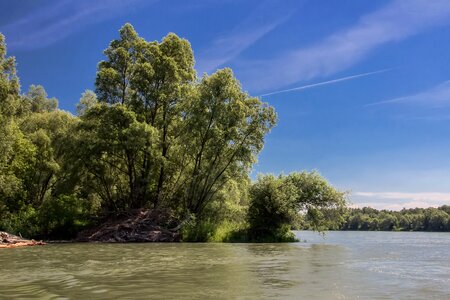 River bratislava trees photo