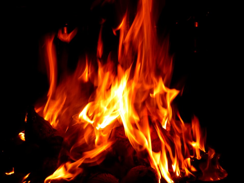 Wood burn flame log fire