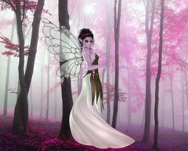 Fairy fantasy people