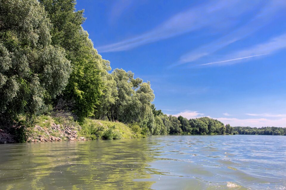 River bratislava trees photo