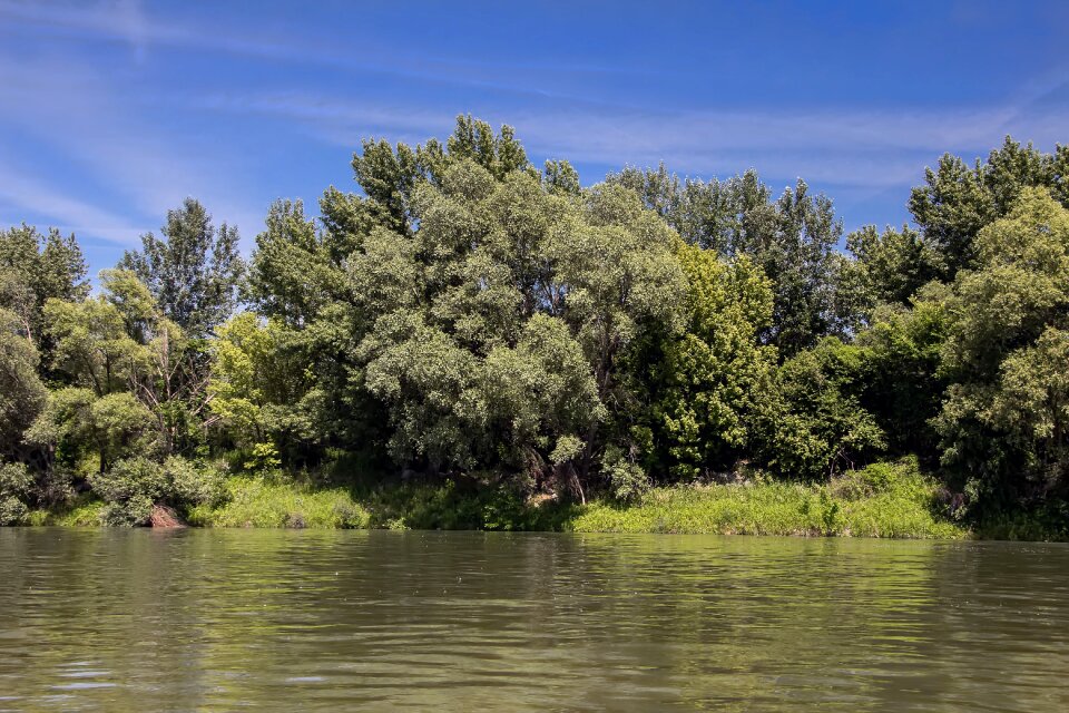 River bratislava trees