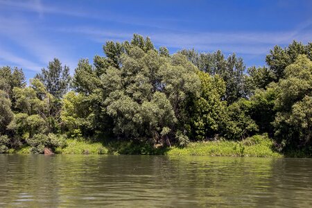 River bratislava trees photo