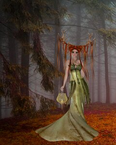 Wiccan fairy woodland